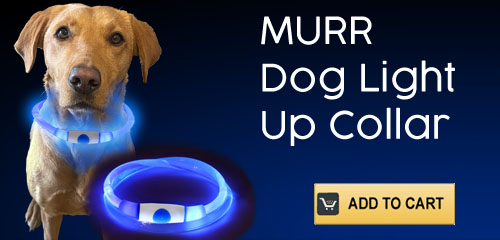 MURR Dog Light Up Collar