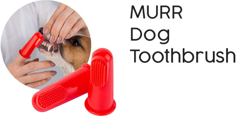 Murr Dog Finger Toothbrush