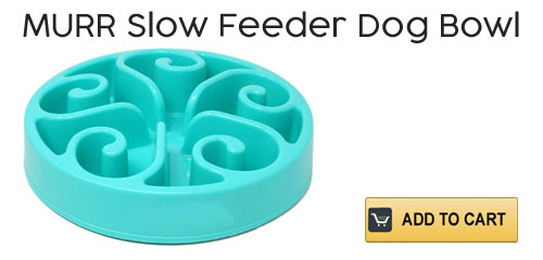 MURR Slow Feeder Dog Bowl